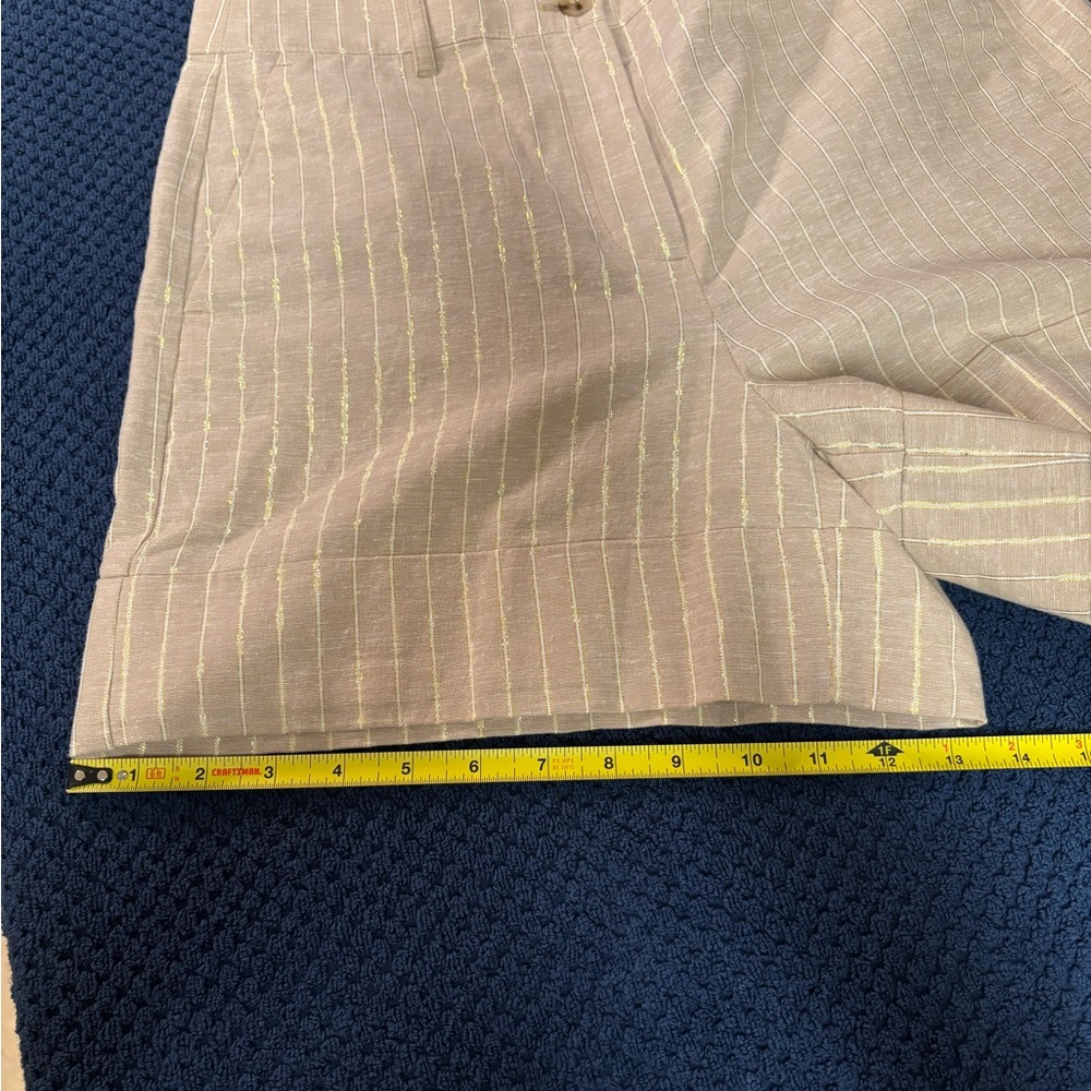 NWT Women’s J. Crew Light Tan Shorts with Gold Pinstripes Size 8 - Picture 14 of 16